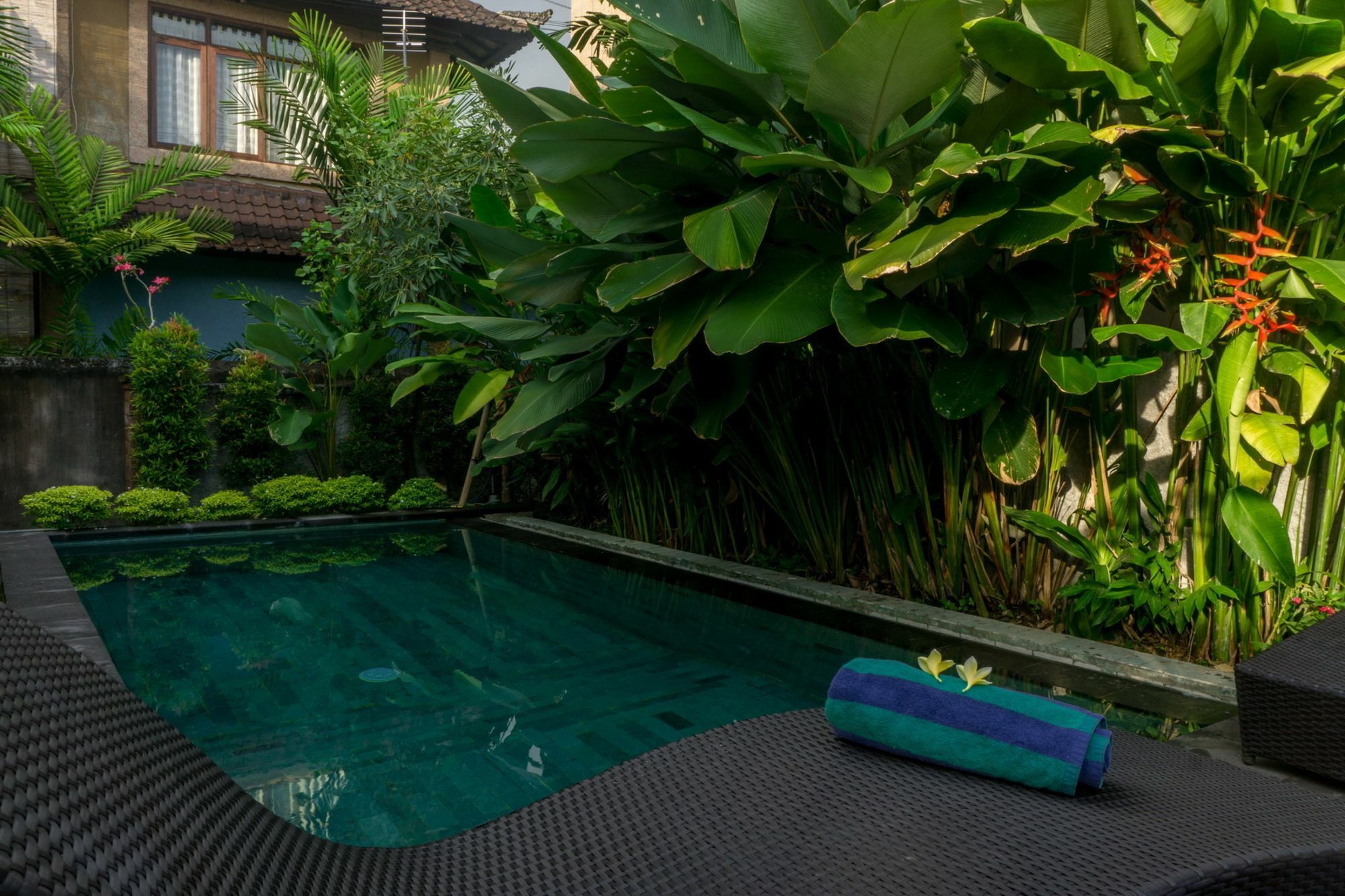 Eka Bali Guest House 우붓 외부 사진
